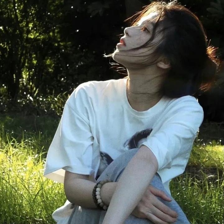 沙漠之王